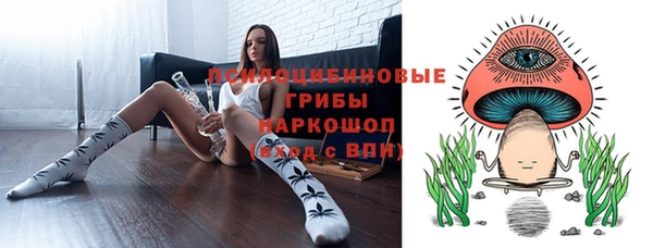 спиды Арсеньев
