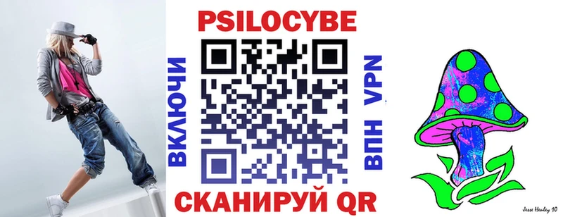 Псилоцибиновые грибы Psilocybe  Партизанск 