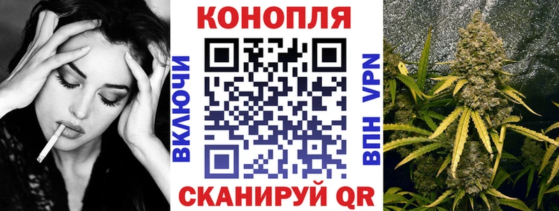 Бошки марихуана индика как найти закладки Партизанск
